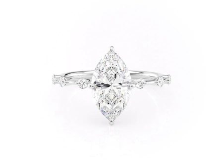 The Hidden Halo Penelope Set With A 4 Carat Marquise Moissanite Online Sale