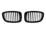 Autotecknic Replacement Grill BMW 5 Series F07 GT (10-13) Glazing or Stealth Black Online now