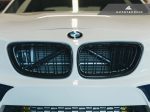 Autotecknic Grill BMW M2 F87 (2016-2018) [Dual-Slats] Stealth Black   Glazing Black   Carbon Fiber Online now