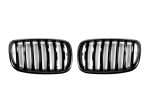 Autotecknic Replacement Grill BMW X6 (08-12) X6M (10-12) E71 - Glazing or Stealth Black Sale