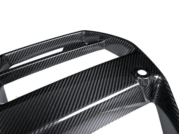 Autotecknic Grill BMW M4 G82 G83 (21-24) [Motorsport V1] Dry Carbon Fiber Online Hot Sale